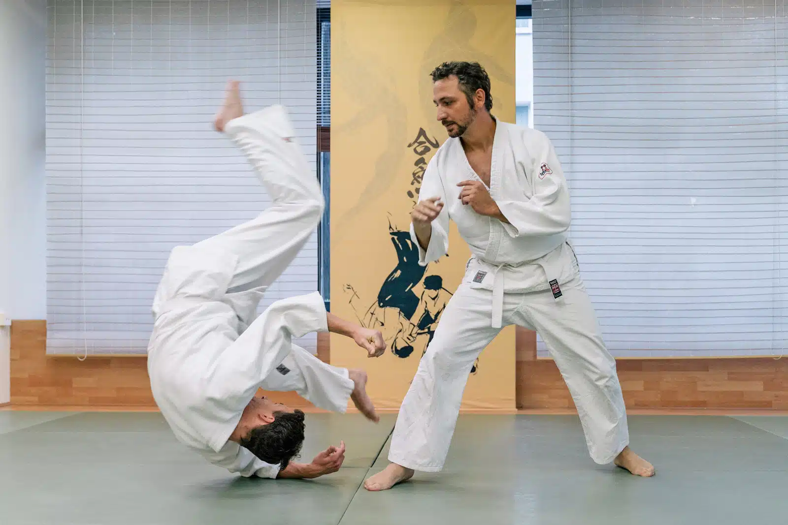 Das Aikido Prinzip