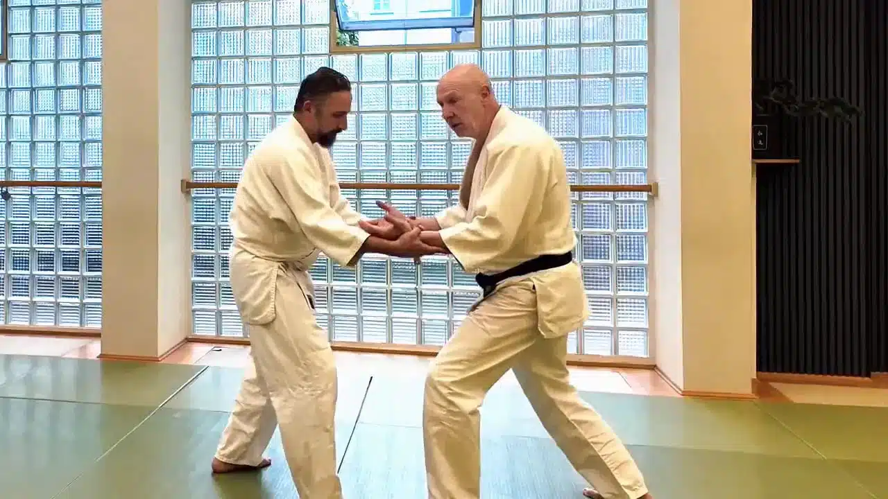 Ein Aikidoka führt seinen Partner über dessen ausgestreckten Arm nach vorn unten